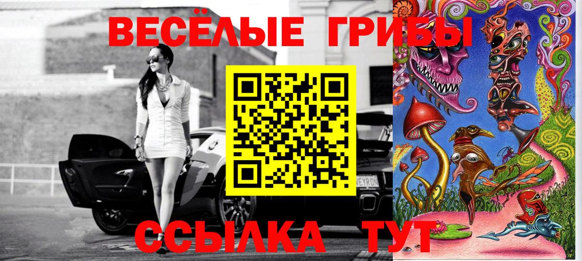 Галлюциногенные грибы Psilocybe Городец