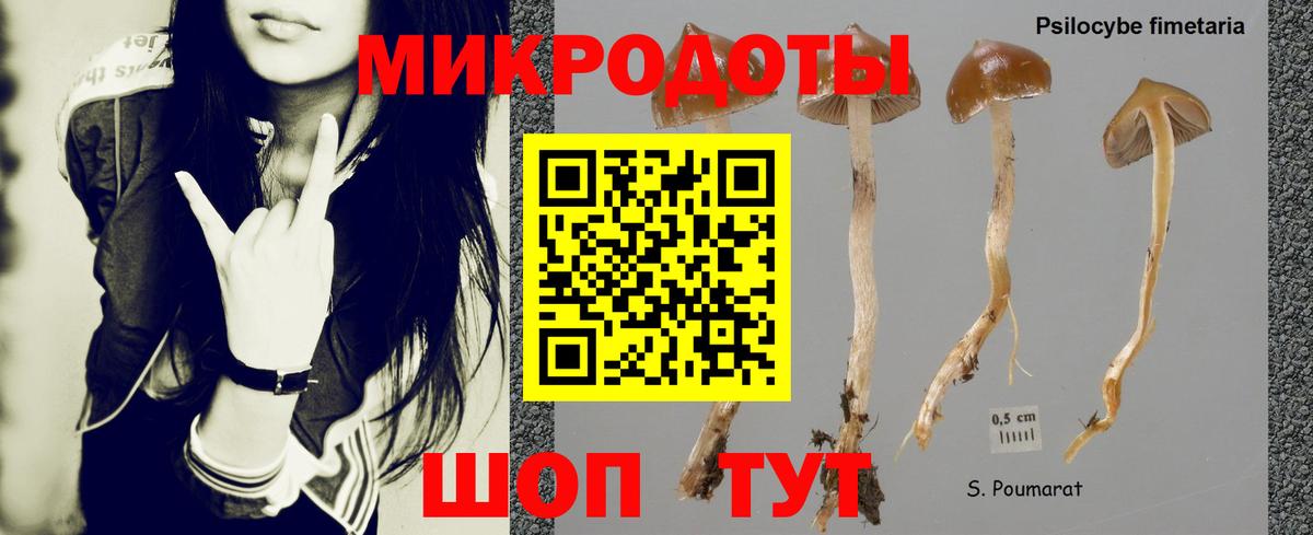 Городец  Галлюциногенные грибы Cubensis  Вход с VPN  хочу наркоту  Галлюциногенные грибы Magic Shrooms 